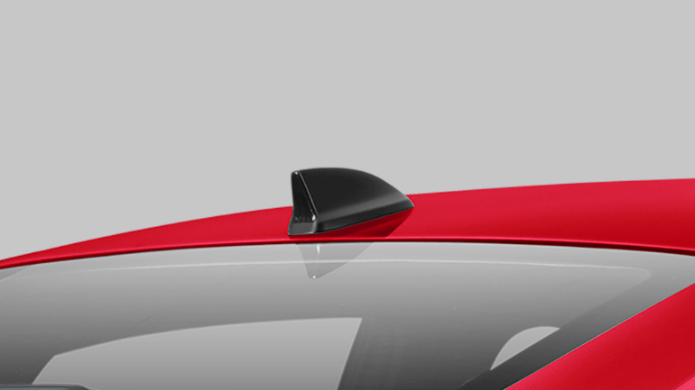 Ăng tên vây cá mập tạo điểm nhấn độc đáo